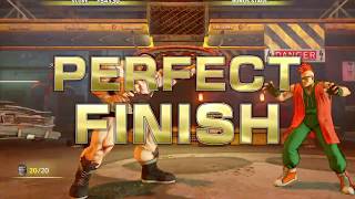 ストリートファイターV　Street Fighter5  Bonus Stage (HARD) Zangief Perfect ザンギエフ　ボーナスステージ　「ハード」　パーフェクト