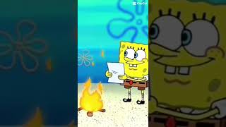 What the heck sponge bob