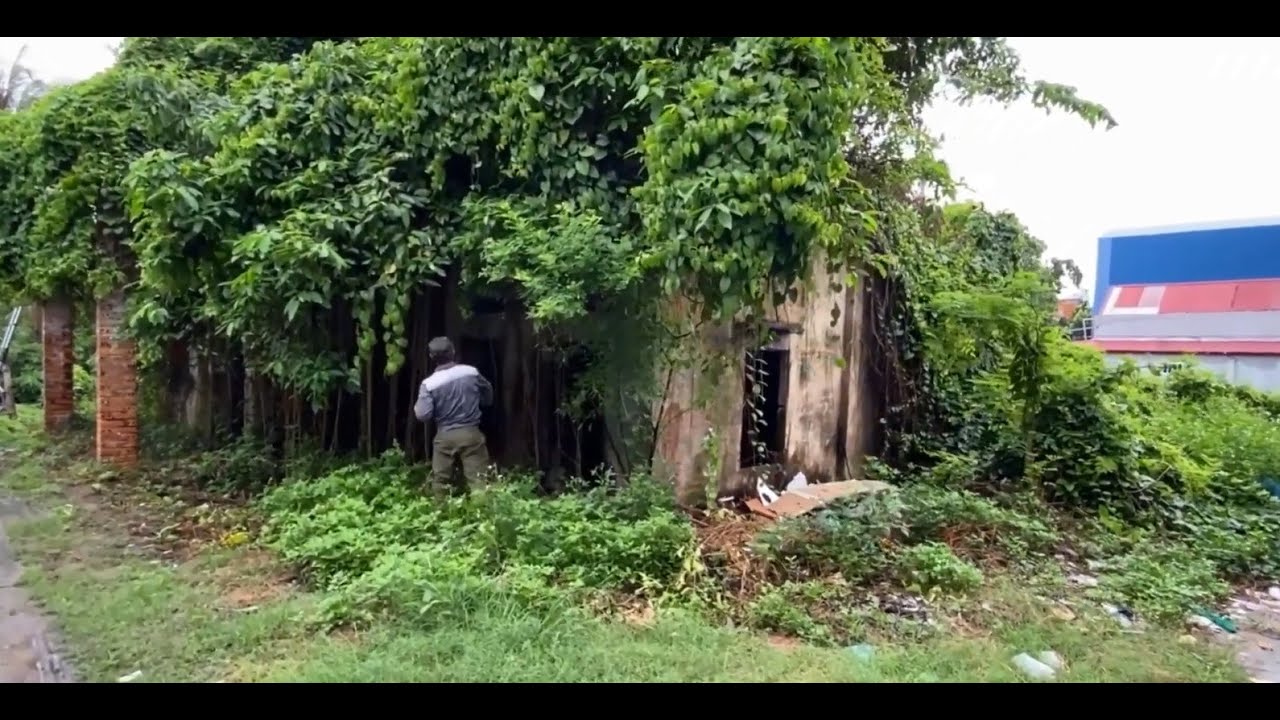 Cleaning up the haunted house with tree roots covering the roof || A satisfying transformation