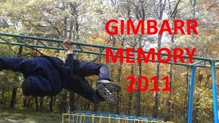 Ruslan Voronkov - Gimbarr Memory (2011-2012)
