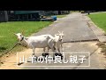 熱帯農業科　学科紹介