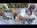 みんな大喜び　【すずめ日記】