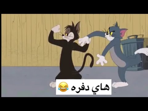 تحشيش توم وجيري شعيط ومعيط منو الأقوى منو ياخذ الحلوة افلام كارتون باللهجة العراقية