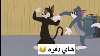 تحشيش توم وجيري | شعيط ومعيط منو الأقوى ؟ منو ياخذ الحلوة 😂😂 | افلام كارتون باللهجة العراقية