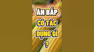 ĂN BẮP CÓ TÁC DỤNG GÌ? #loiichkhianbap  #nhipsongxanh #chamsocsuckhoe #songkhoemoingay #songkhoe