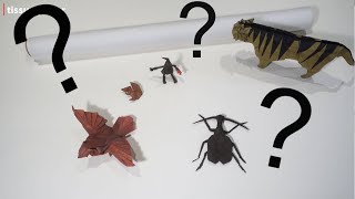 Choosing the best paper for origami - essential papers and example folds