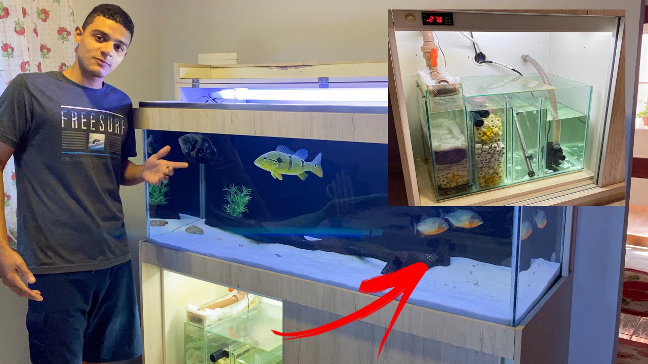 COMO FUNCIONA MEU AQUÁRIO | SUMP SISTEMA DE FILTRAGEM COMPLETA! e teste de queda de energia.