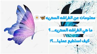 معلومات عن الفراشه السحريه🦋🌼 ماهي الفراشه السحريه...؟🦋🌼 كيف استطيع عملها...؟! 🦋🌼 لا تفوتك🦋🌼