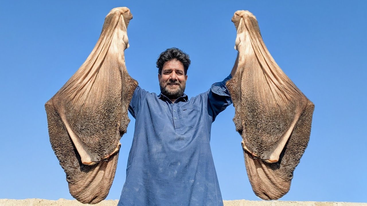 Ojri Recipe l Beef Stomach Recipe l Beef Ojri ki Masaledar Recipe l Butt Recipe l Beef Ojri l