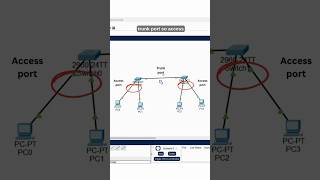 Configure Trunk Port on Switch
