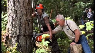 Buckin' and the Essential Craftsman, falling trees