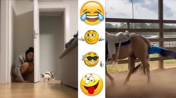 UNUSUAL MEMES COMPILATION Part 2. TRY NOT TO LAUGH 😆 Best Funny Videos