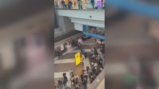 Xcel finds cause of power outage at DIA