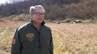 Gov. Justice and WV DNR announce five-year project to restore Bobwhite Quail to West Virginia