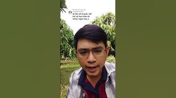 Xác định thời gian phun tạo mầm hoa xoài #0986289491 #gocculao