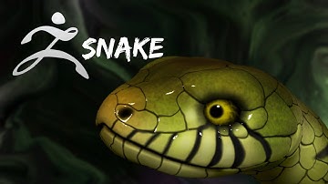 Zbrush Snake Timelapse