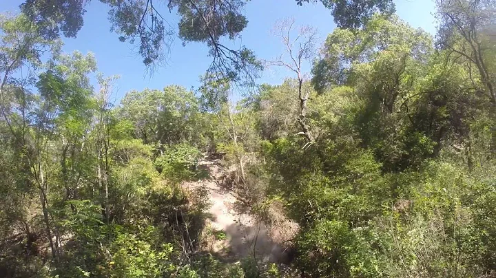 CTORs newest climb