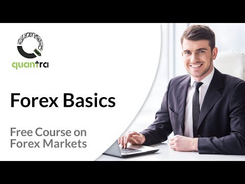 Forex Trading for Beginners | Free course in Forex Trading | Momentum Trading Strategy