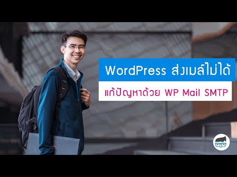 WordPress ส่งเมล์ไม่ได้ ตกถังขยะ เป็น spam แก้ปัญหาด้วย WP Mail SMTP