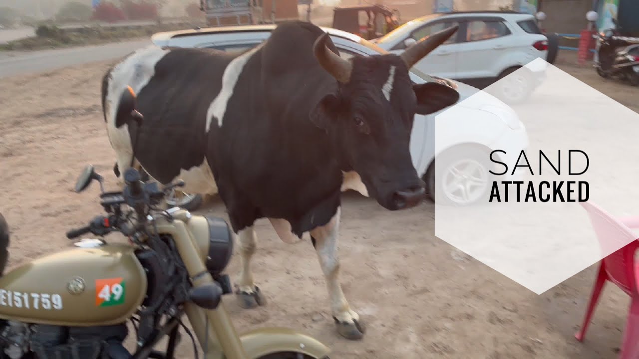 Sand ne Kia Hamla jaipur ride  | Delhi to Jaipur | Bull attack | Moto vlog | vlogger 