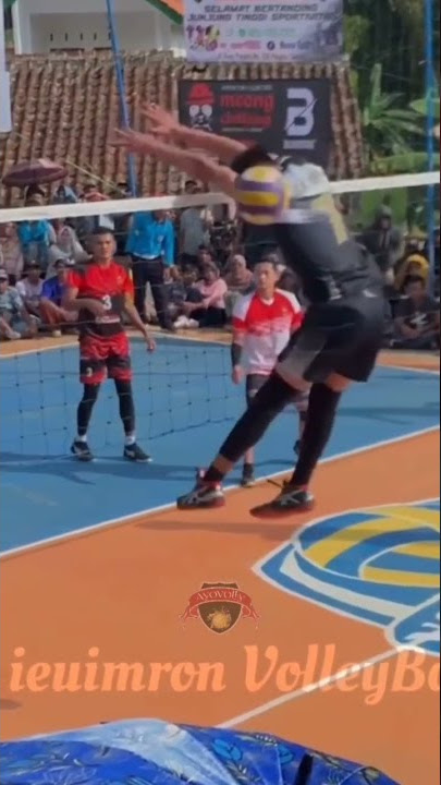 Dimas saputra Terbang story wa voly