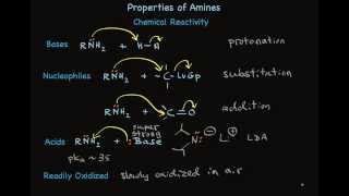 Properties of Amines