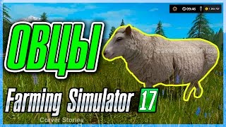 Farming Simulator 17. Гайд по овцам.