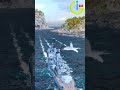 Coronel Bolognesi непотопляемый крейсер 7 уровня Пан-Америка World of Warships #shorts