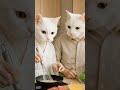 big white cat giving cooking tips #ai #cat #animation #cute #funny
