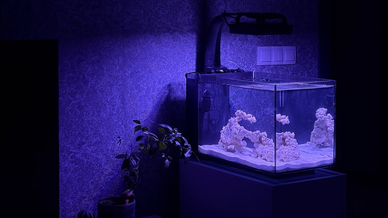 Deniz Akvaryumu Kurulumu  | OzgunReef  | Bölüm - 1 