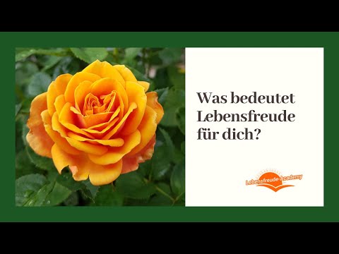 Video: Warum bedeutet Lebensfreude?