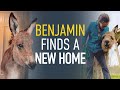 Horse Adopter Heroes: Benjamin Finds A New Home