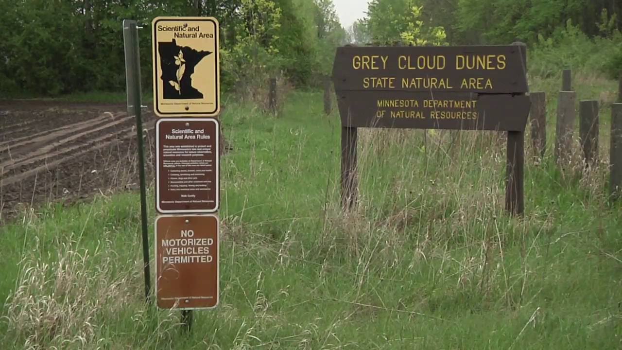 Grey Cloud Dunes Park in Cottage Grove YouTube