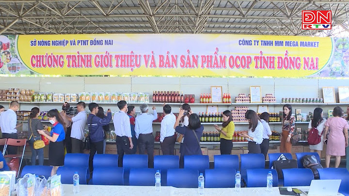 Đánh giá tiêu chuẩn một sản phẩm mới năm 2024