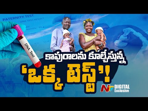 భార్యల భారీ మోసం.. భర్తల గగ్గోలు | Paternity tests controversy in Uganda | NTV Digital Exclusive - NTVTELUGU