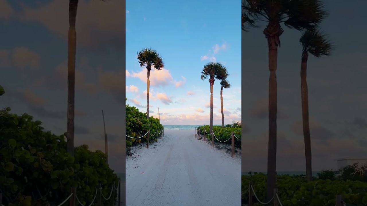 Miami Beach Right Before Sunset 🏝️