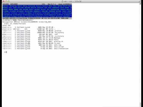 How to Edit Your AIX Profile From The CCL HNAM Query Window