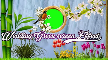 Wedding green Screen Effect || kinemaster tutorials vfx videos.