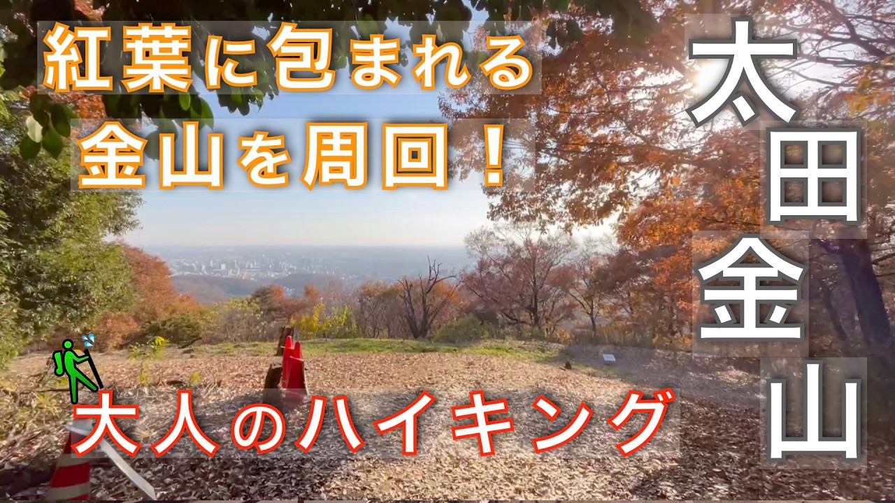 【太田金山】紅葉深まる金山周回コースを紹介！大人が楽しむ里山登山！群馬県太田市【山と音楽　m♪し音】