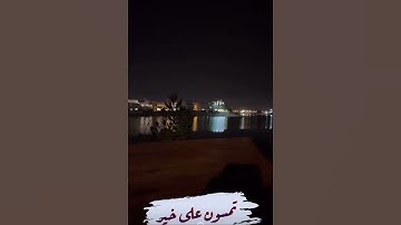 ما تيسر من سورة غافر 🤍🍃 | الشيخ أحمد النفيس