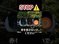 信号機から学ぶ常識3選 信号機 ばずれ おすすめ がたしん 新潟信号