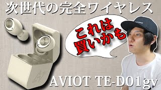 【新商品発売情報】まさに次世代の完全ワイヤレスイヤホン「AVIOT TE-D01gv」