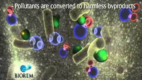 How A Biofilter Works.avi