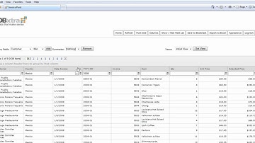 DBxtra Report Web Service
