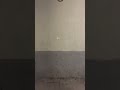 ART www. es – art video Barcelona, trash art, street artist Barcelone