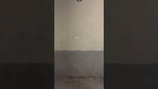 ART www. es – art video Barcelona, trash art, street artist Barcelone – street art video Barcelona