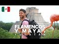 UN VIAJE ENTRE FLAMENCOS Y CIUDADES MAYAS | enriquealex