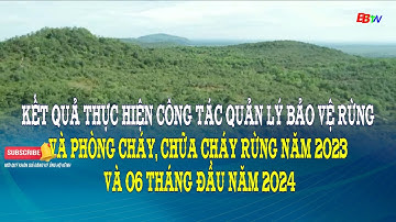 Kết quả thực hiện công tác quản lý bảo vệ rừng và PCCC rừng năm 2023 và 06 tháng đầu năm 2024