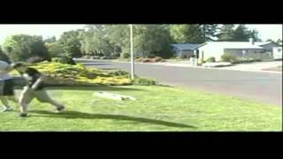 Fail Compilation August 2012 : Old But Not Forgotten