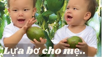 LEON Đi Mua BƠ Nhảy Tưng Bừng Khi Nghe Bài Hát Tủ..[LEON LISA Hồ Ngọc Hà]